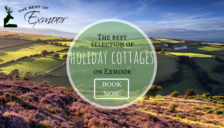 Holiday Cottages on Exmoor